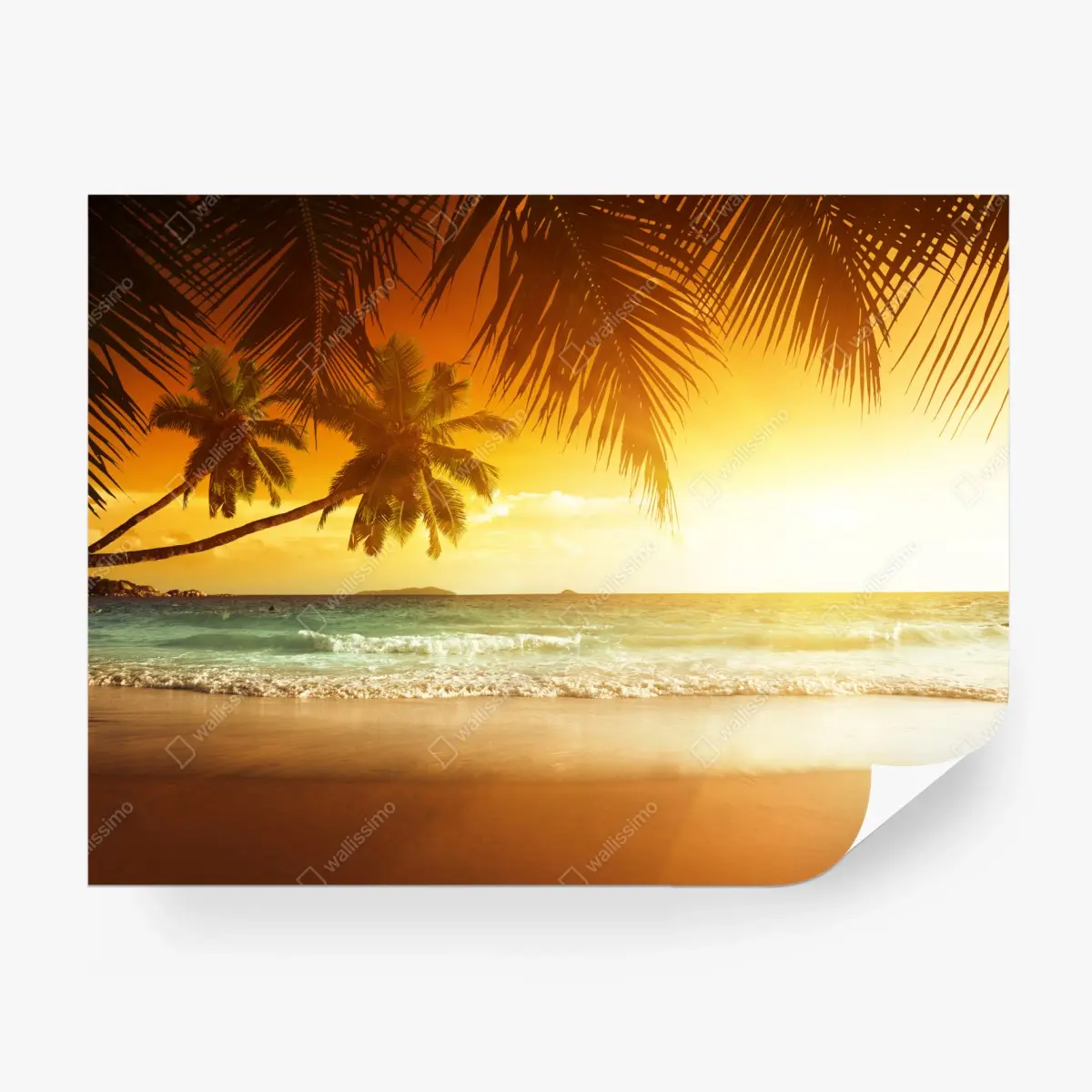 Wall mural golden Caribbean sunset over palm beach • Wallissimo®