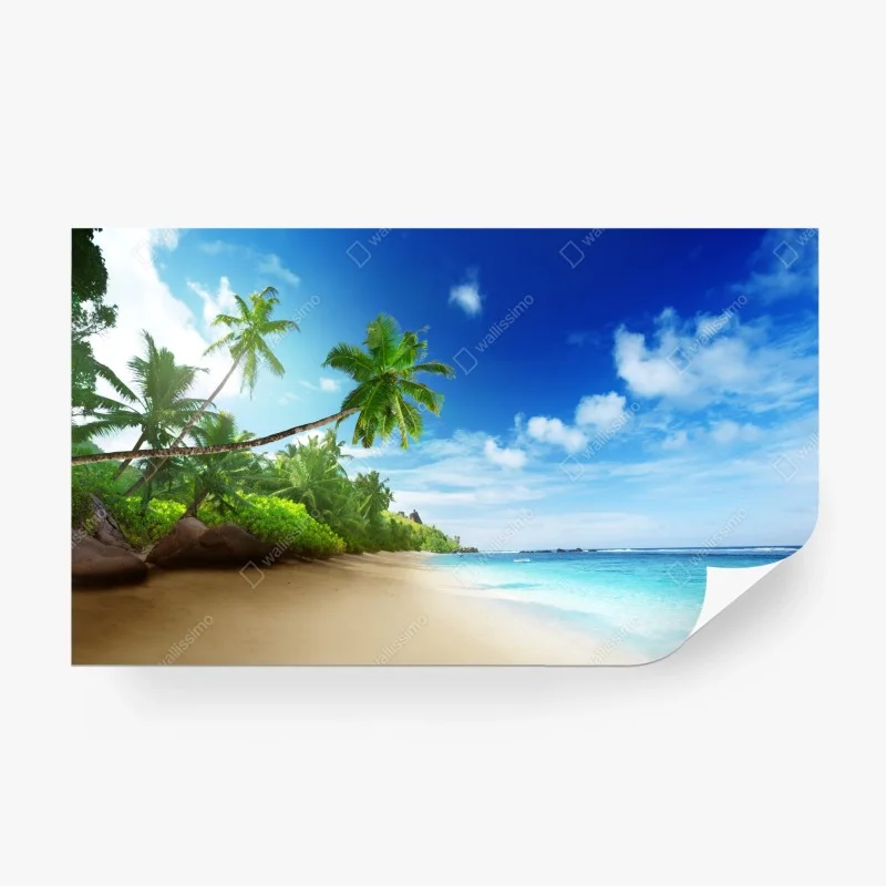 Wall mural sunset on Mahe beach, Seychelles