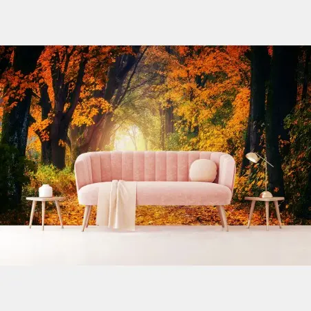 Wall mural autumn forest pathway at golden hour • Wallissimo®
