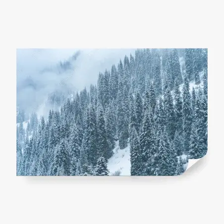 Wall mural misty snow-covered pine forest • Wallissimo®