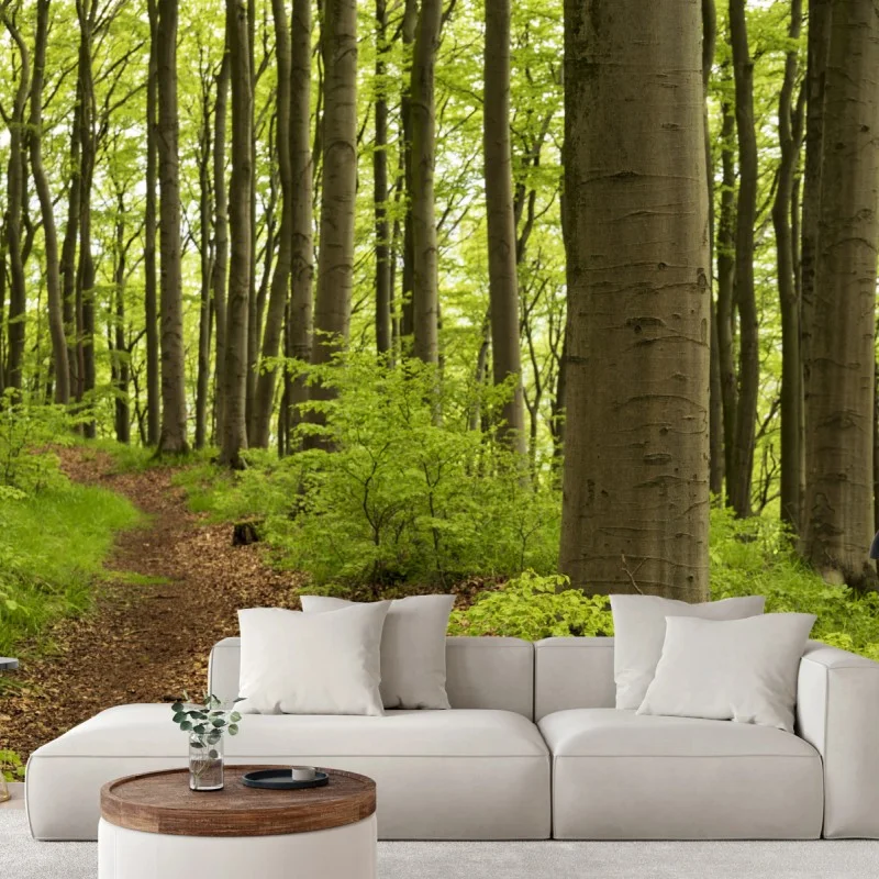 Wall mural tranquil green forest trail