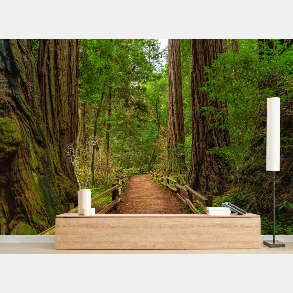 Wall mural majestic forest path among redwoods • Wallissimo®
