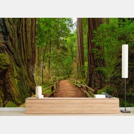 Wall mural majestic forest path among redwoods • Wallissimo®
