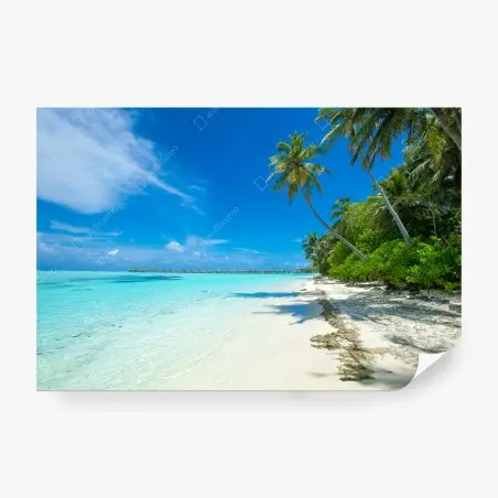 Wall mural tropical Maldives beach escape • Wallissimo®
