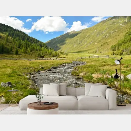 Wall mural alpine mountain stream in a sunlit valley • Wallissimo®