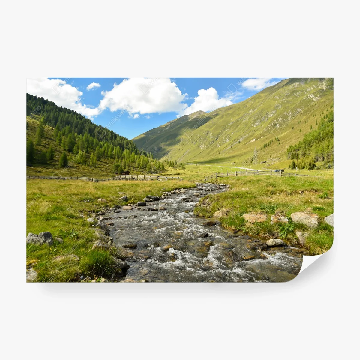 Wall mural alpine mountain stream in a sunlit valley • Wallissimo® Wall mural alpine mountain stream in a sunlit valley • Wallissimo®