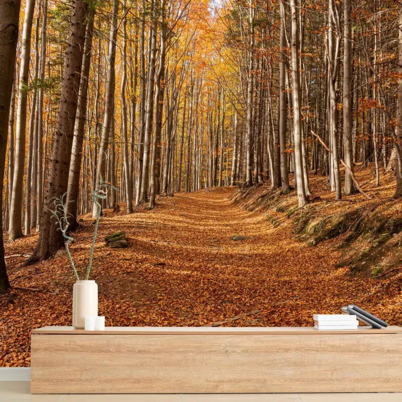 Wall mural autumn forest path with golden leaves