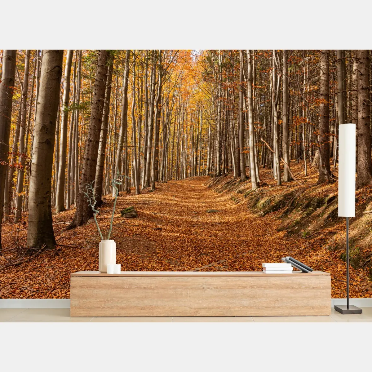 Wall mural autumn forest path with golden leaves • Wallissimo®