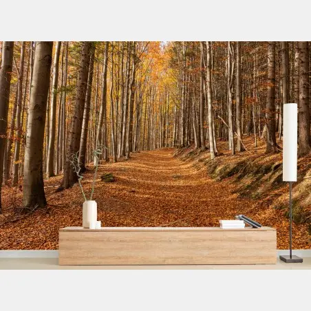Wall mural autumn forest path with golden leaves • Wallissimo®