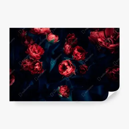 Wall mural moody red tulip bouquet • Wallissimo®