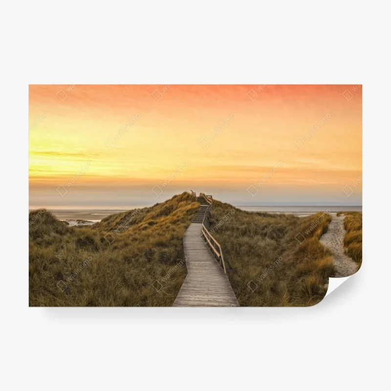 Wall mural sunset boardwalk to Amrum beach