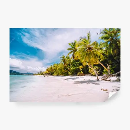 Wall mural tropical palm beach paradise • Wallissimo®