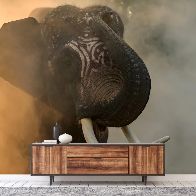 Wall mural majestic Thai elephant with tusks