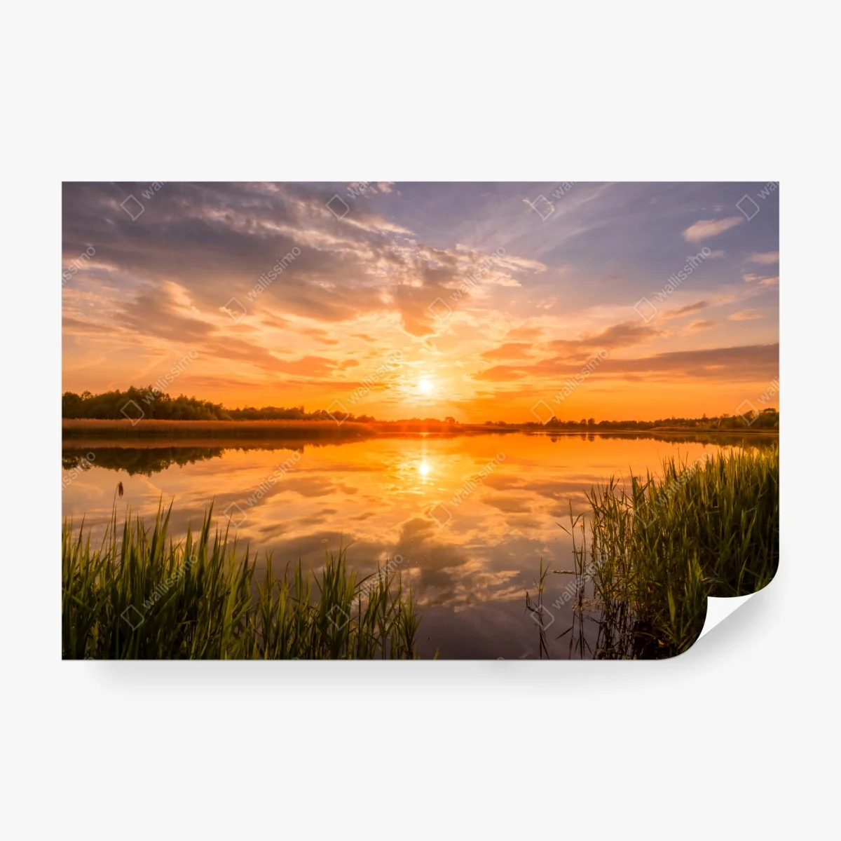 Wall mural golden sunset over tranquil lake • Wallissimo® Wall mural golden sunset over tranquil lake • Wallissimo®