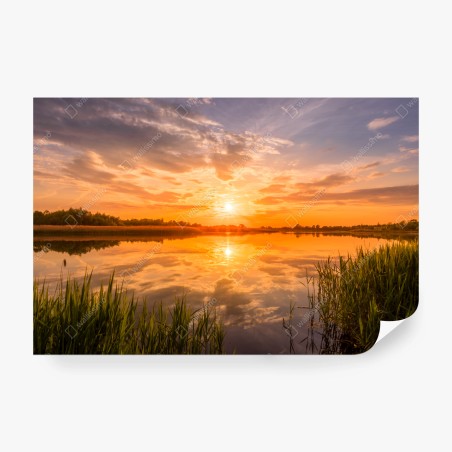 Wall mural golden sunset over tranquil lake • Wallissimo®