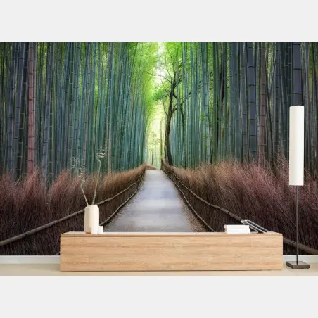 Wall mural serene bamboo forest pathway • Wallissimo®