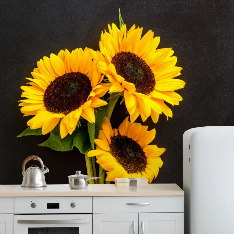 Wall mural vibrant sunflower trio on black background