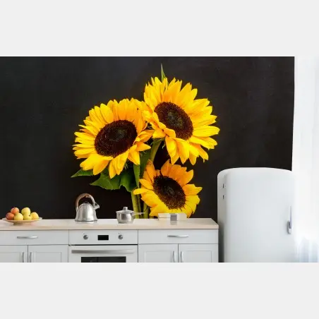 Wall mural vibrant sunflower trio on black background • Wallissimo®