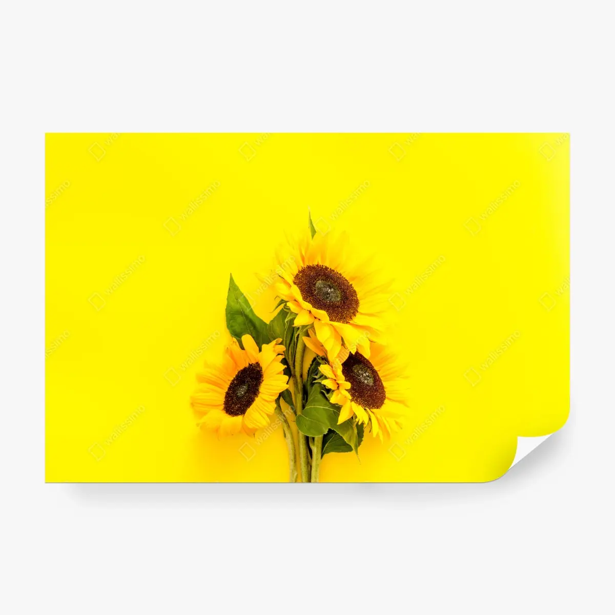 Wall mural bright sunflower bouquet on yellow background ⁕ Wallissimo® Wall mural bright sunflower bouquet on yellow background ⁕ Wallissimo®