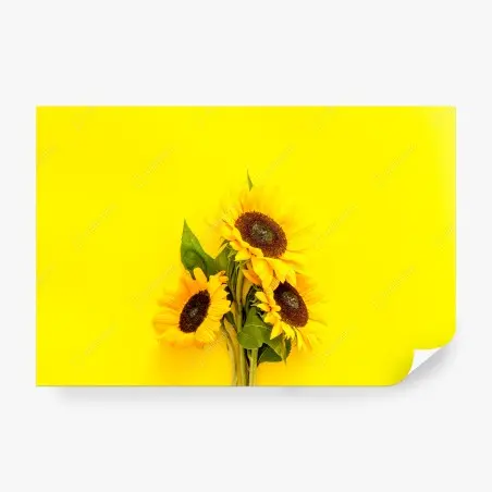 Wall mural bright sunflower bouquet on yellow background • Wallissimo®