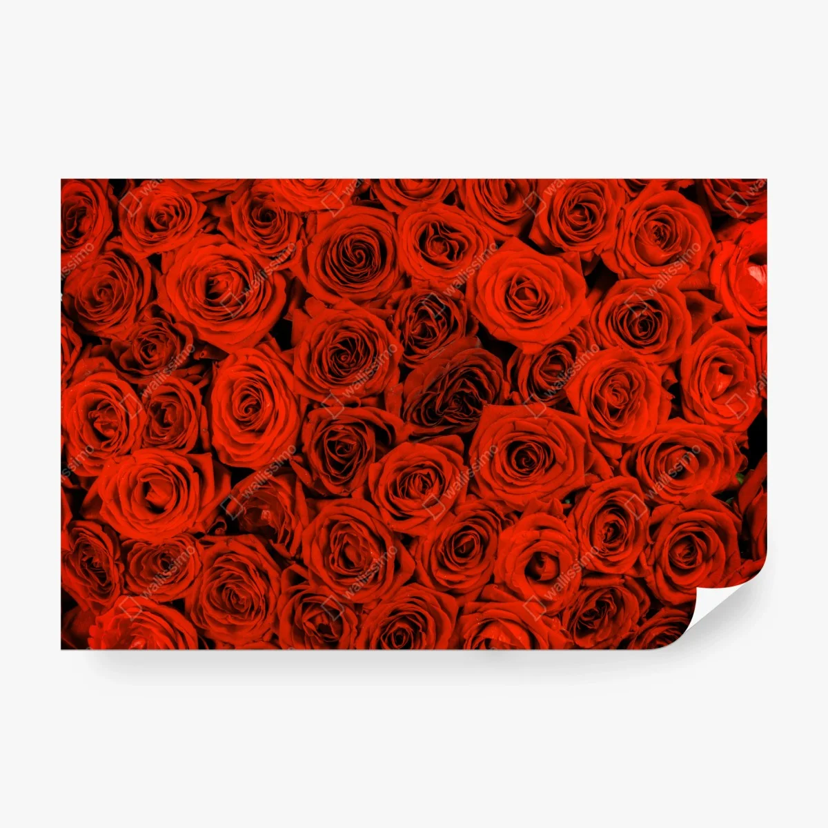 Wall mural lush red rose bouquet • Wallissimo® Wall mural lush red rose bouquet • Wallissimo®
