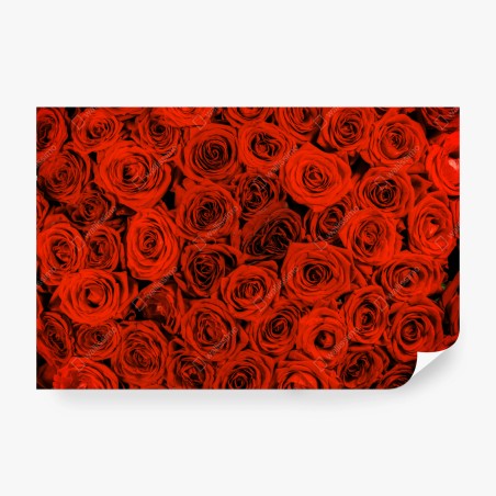 Wall mural lush red rose bouquet • Wallissimo®