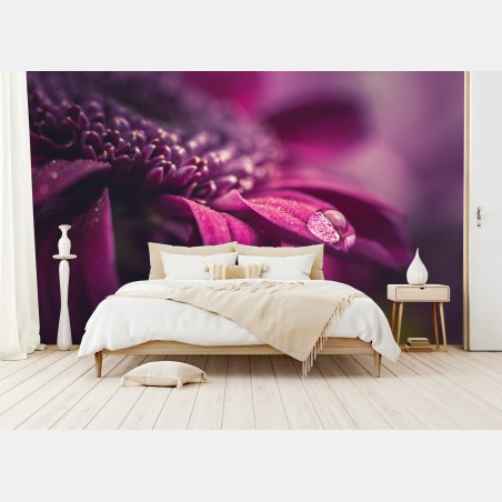 Wall mural purple macro blossom with dewdrop • Wallissimo®