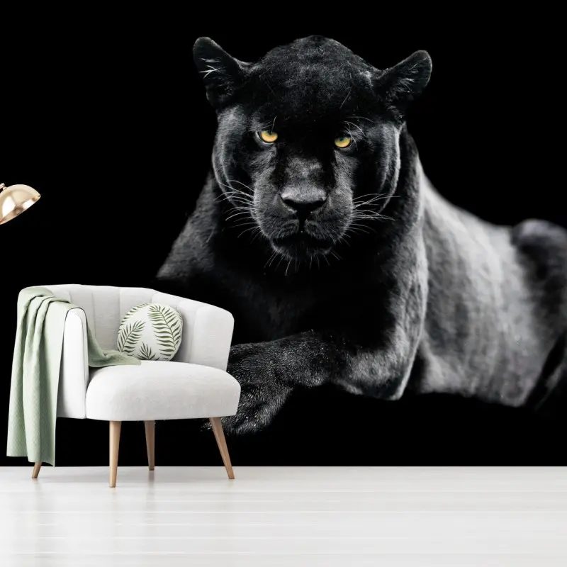 Wall mural black panther portrait on dark background