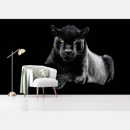 Wall mural black panther portrait on dark background • Wallissimo®