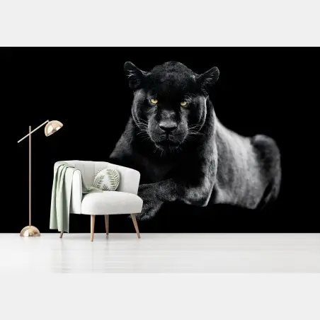 Wall mural black panther portrait on dark background • Wallissimo®