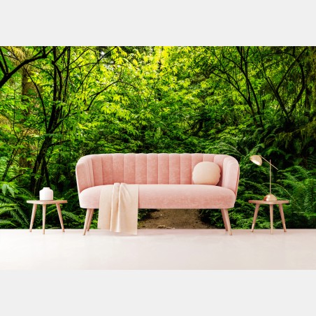 Wall mural lush green forest trail • Wallissimo®