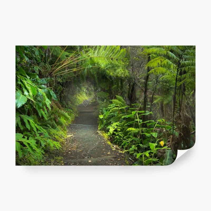 Wall mural lush rainforest trail in Kilauea Iki, Hawaii
