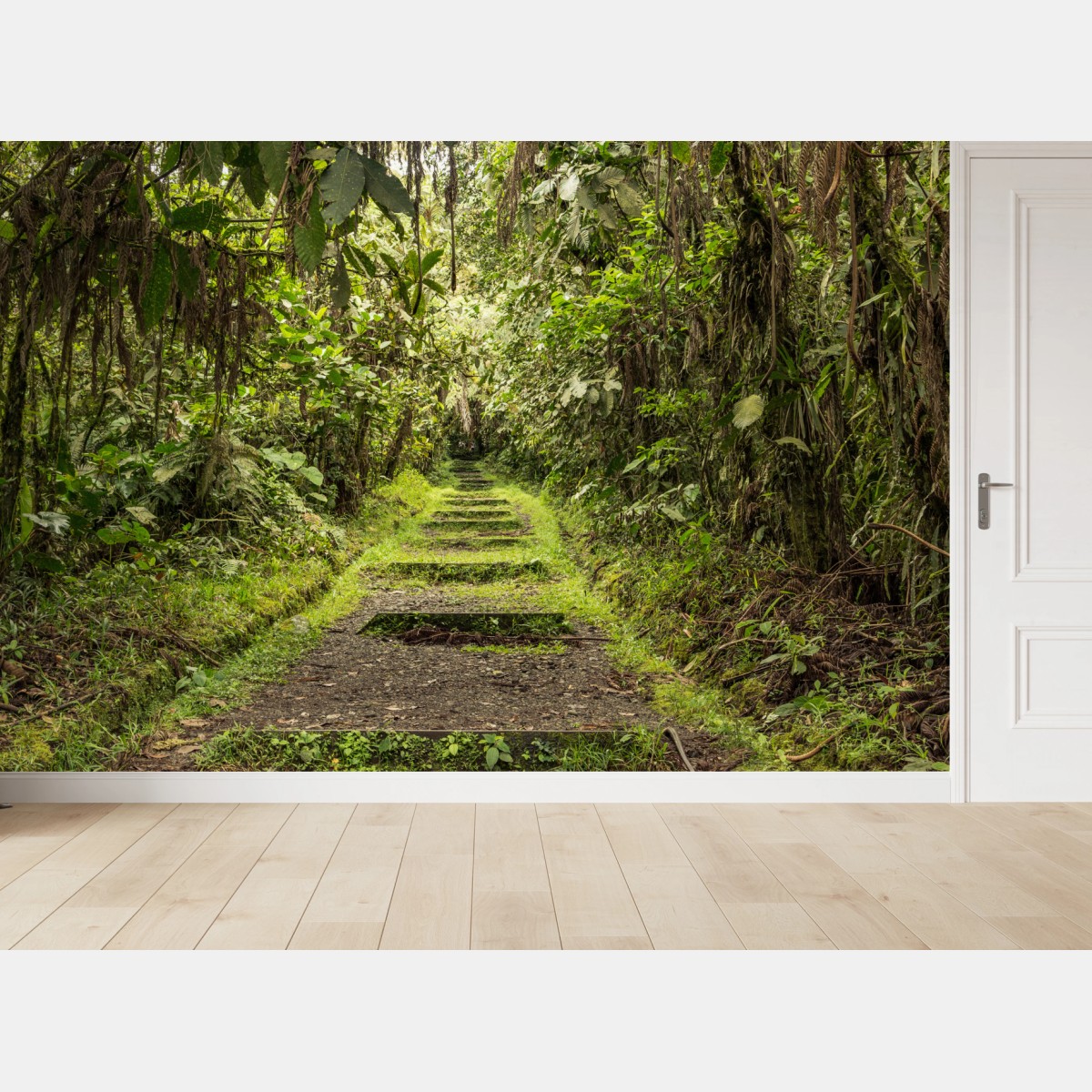 Wall mural lush jungle pathway through verdant rainforest • Wallissimo®