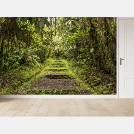 Wall mural lush jungle pathway through verdant rainforest • Wallissimo®