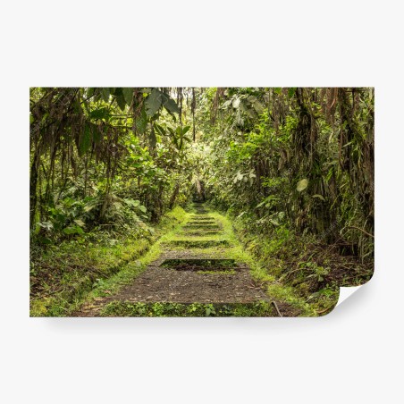 Wall mural lush jungle pathway through verdant rainforest • Wallissimo®