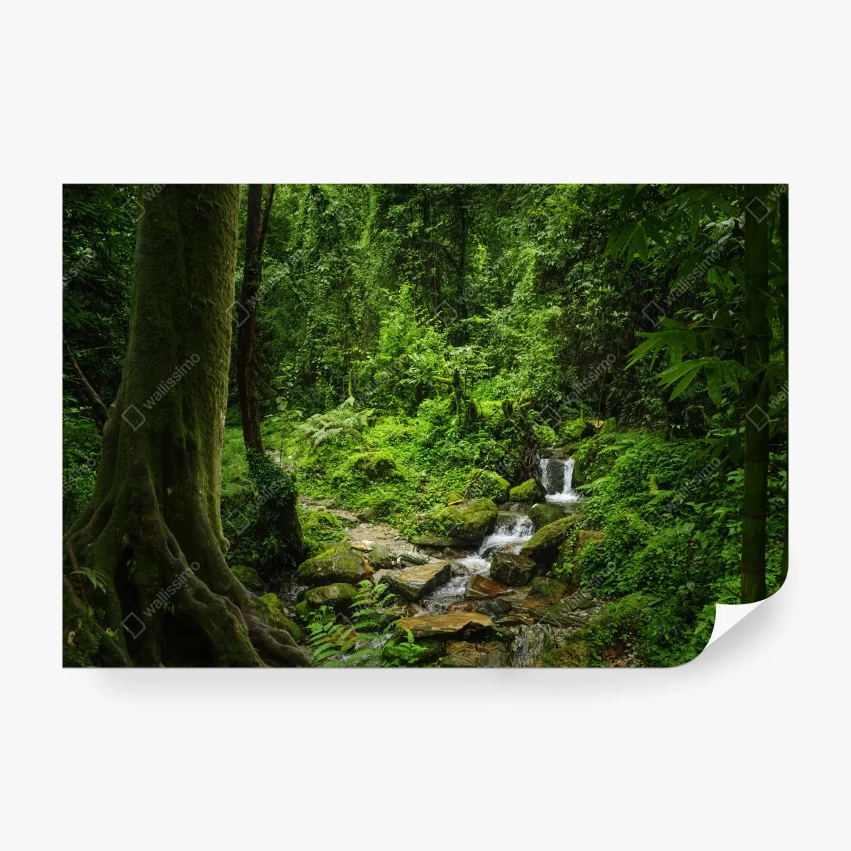 Wall mural lush green forest waterfall ⁕ Wallissimo®