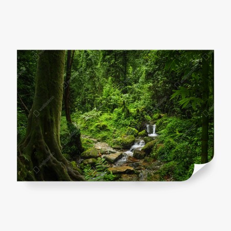 Wall mural lush green forest waterfall • Wallissimo®