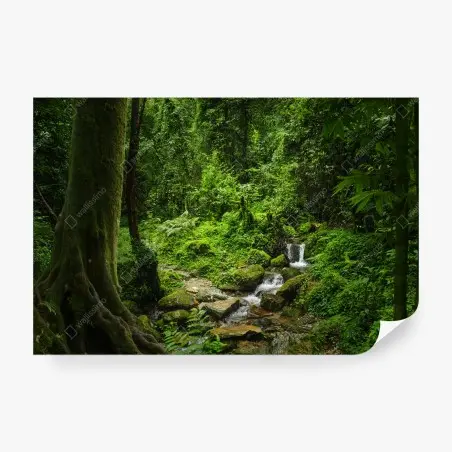 Wall mural lush green forest waterfall • Wallissimo®