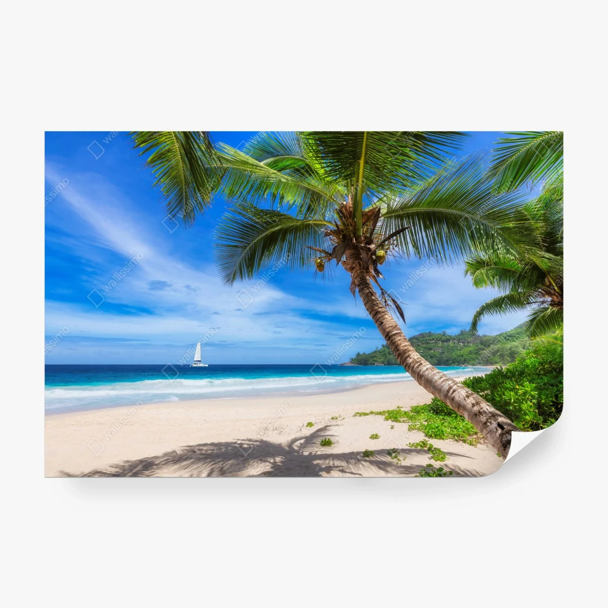 Wall mural tropical palm beach seascape • Wallissimo® Wall mural tropical palm beach seascape • Wallissimo®