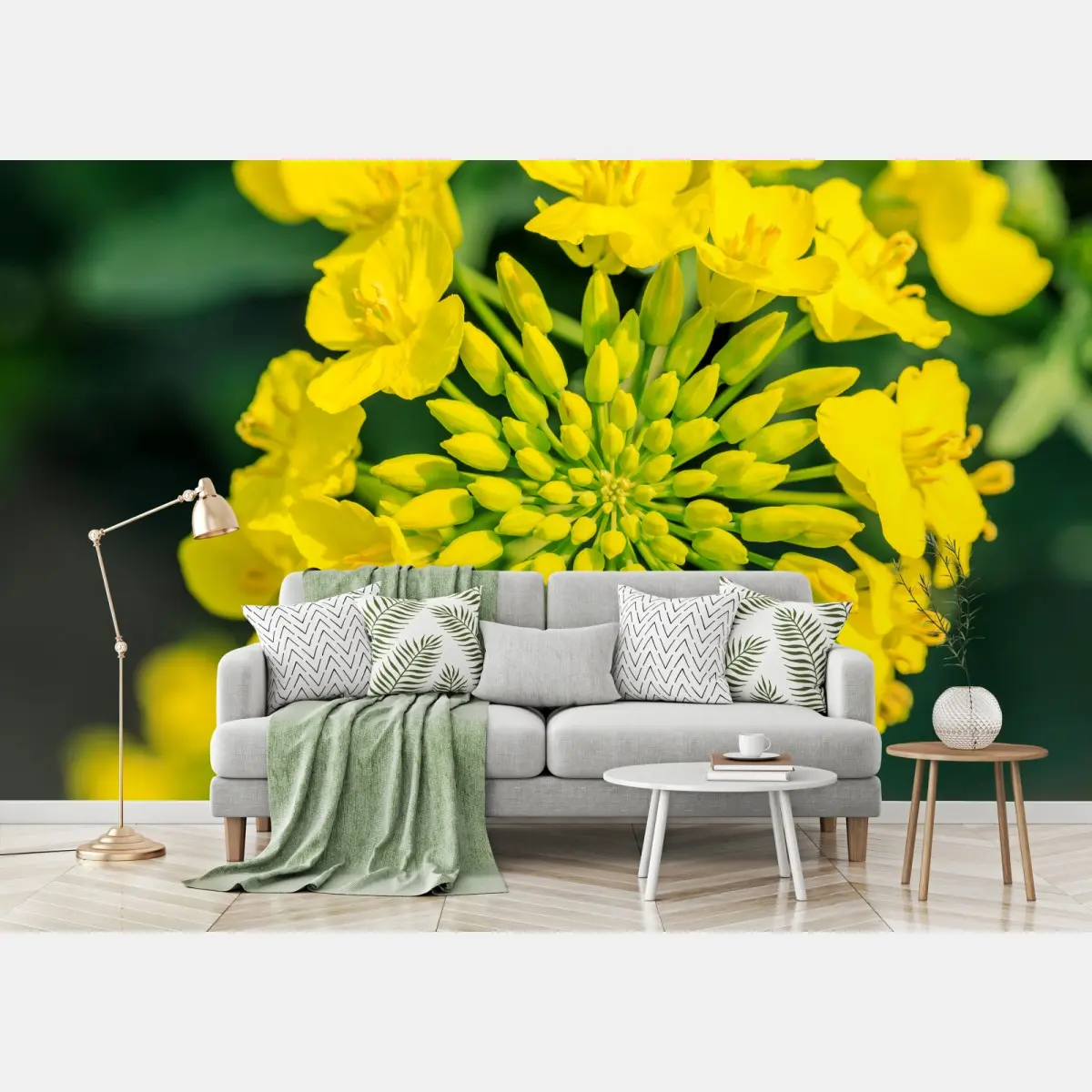 Wall mural vibrant yellow rapeseed blossom close-up • Wallissimo®