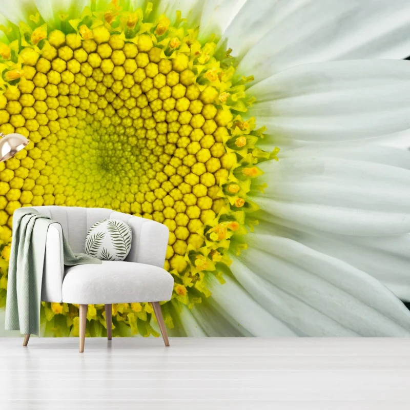 Wall mural shasta daisy macro spiral