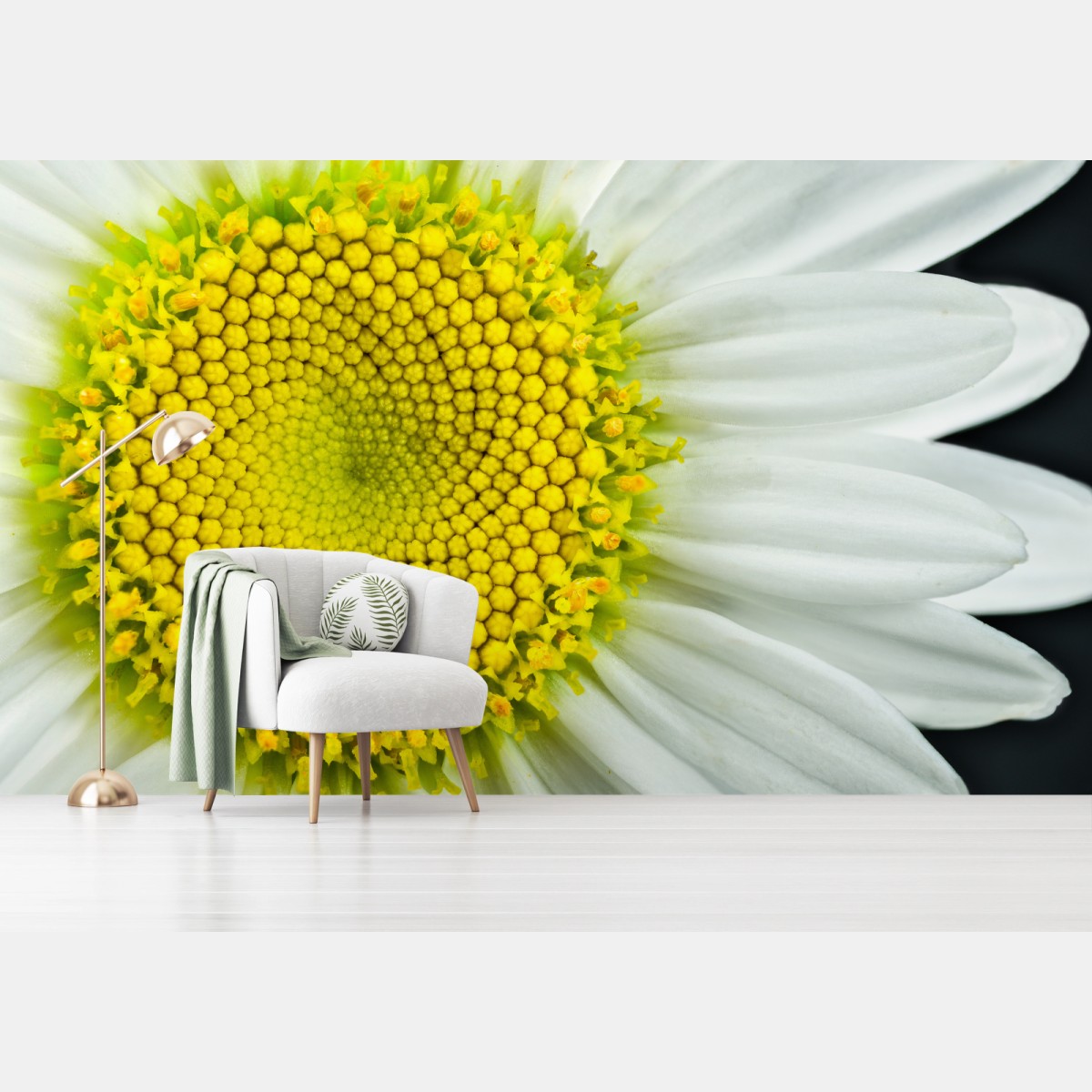 Wall mural shasta daisy macro spiral • Wallissimo®