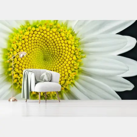 Wall mural shasta daisy macro spiral • Wallissimo®