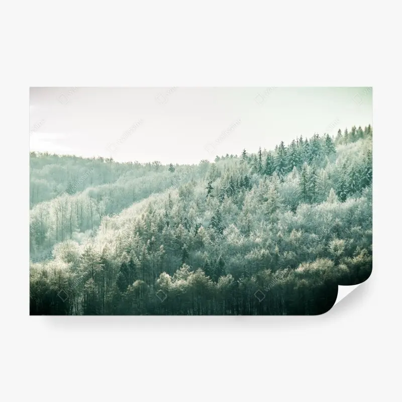 Wall mural • Wallissimo®