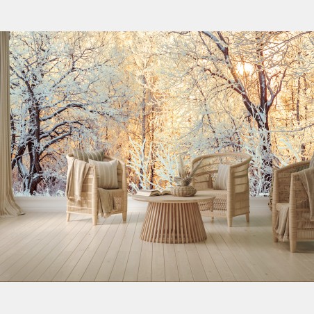 Wall mural winter sunlight in snowy forest • Wallissimo®