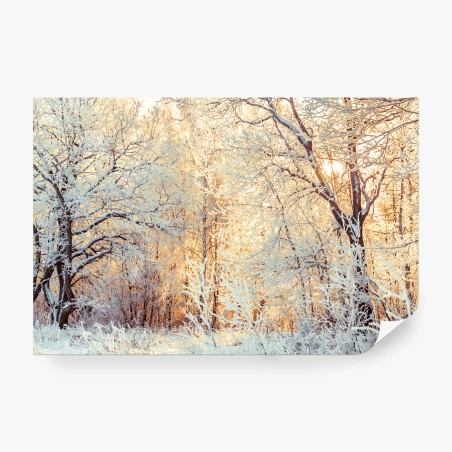 Wall mural winter sunlight in snowy forest • Wallissimo®