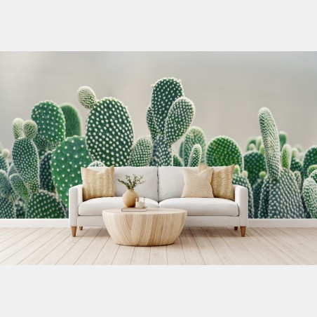 Wall mural opuntia cactus close-up • Wallissimo®
