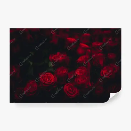 Wall mural moody red rose bouquet • Wallissimo®