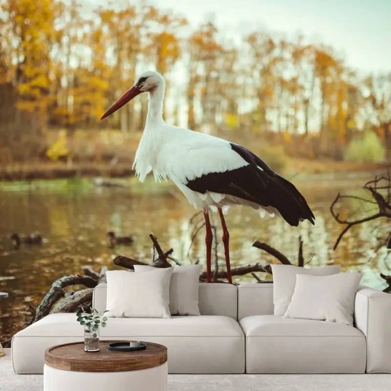 Wall mural white stork by autumn lake
