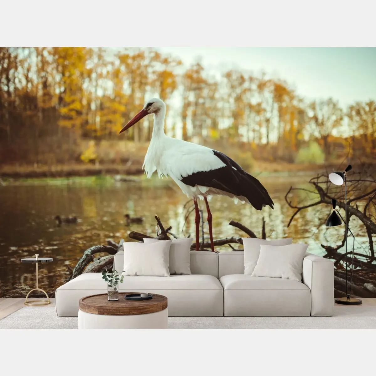 Wall mural white stork by autumn lake • Wallissimo®